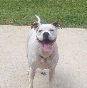 Meet your Posher, Tina